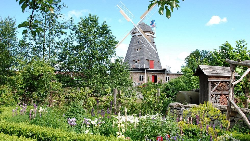 Dutch Windmill Stralsund Zoo, © Archiv Zoo Stralsund