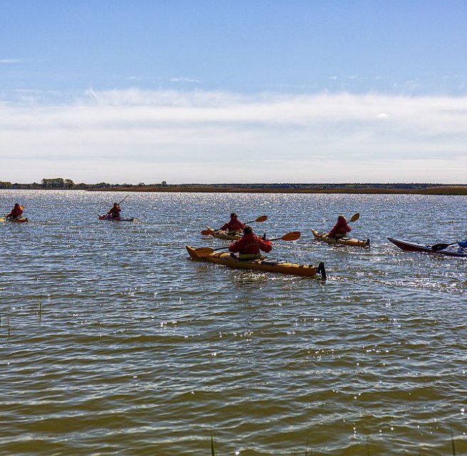 Discover the Fischland-Darß-Zingst Peninsula by kayak, © Tourismusverband FDZ/voigst & Kranz UG