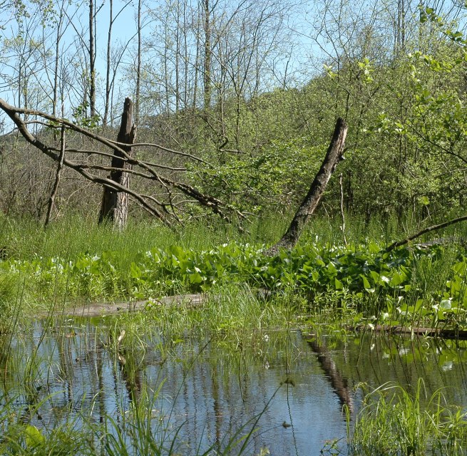 © NPA Müritz