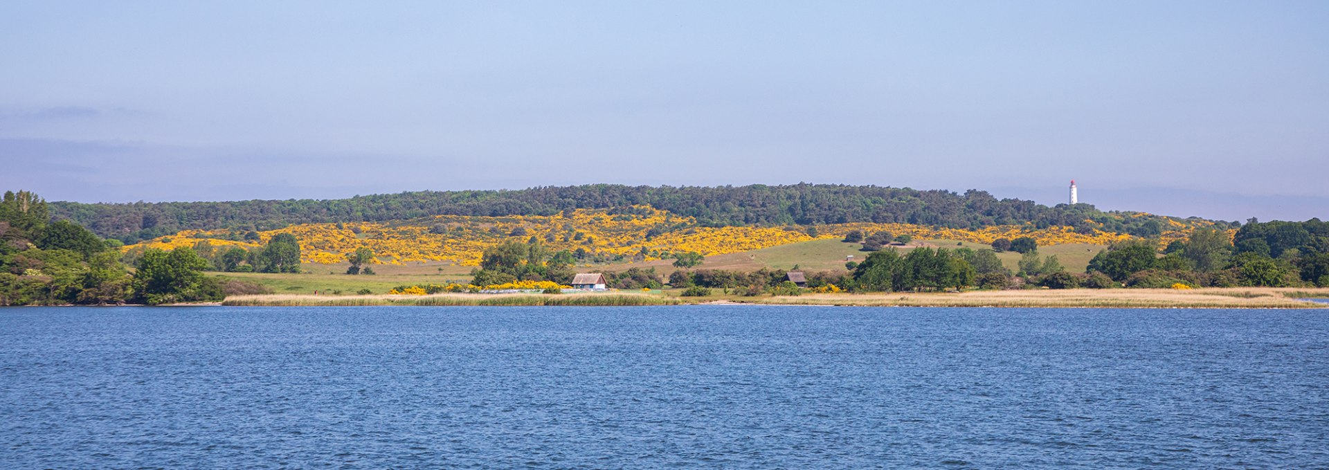 Reederei-Hiddensee-Insel-Hiddensee-002-1, © Weiße Flotte