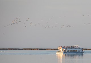 © Weiße Flotte GmbH