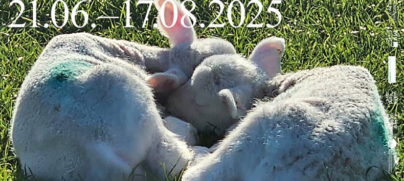 © Ausstellungsplakat / Exhibition Poster, KvMVSn, 2025