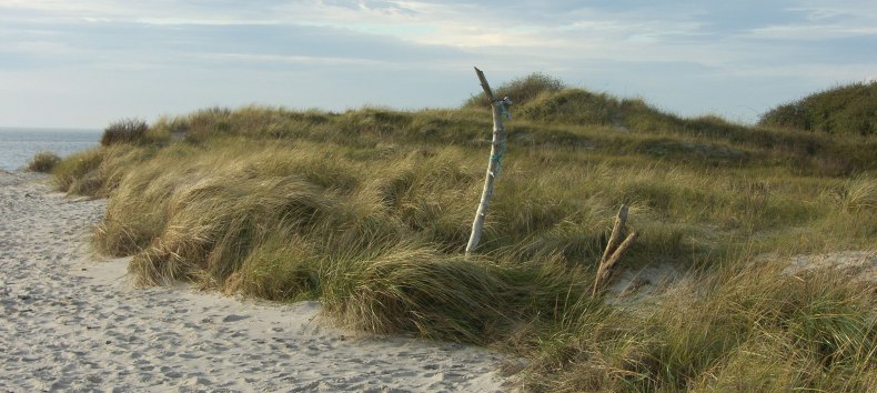 © Biosphärenreservatsamt Südost-Rügen