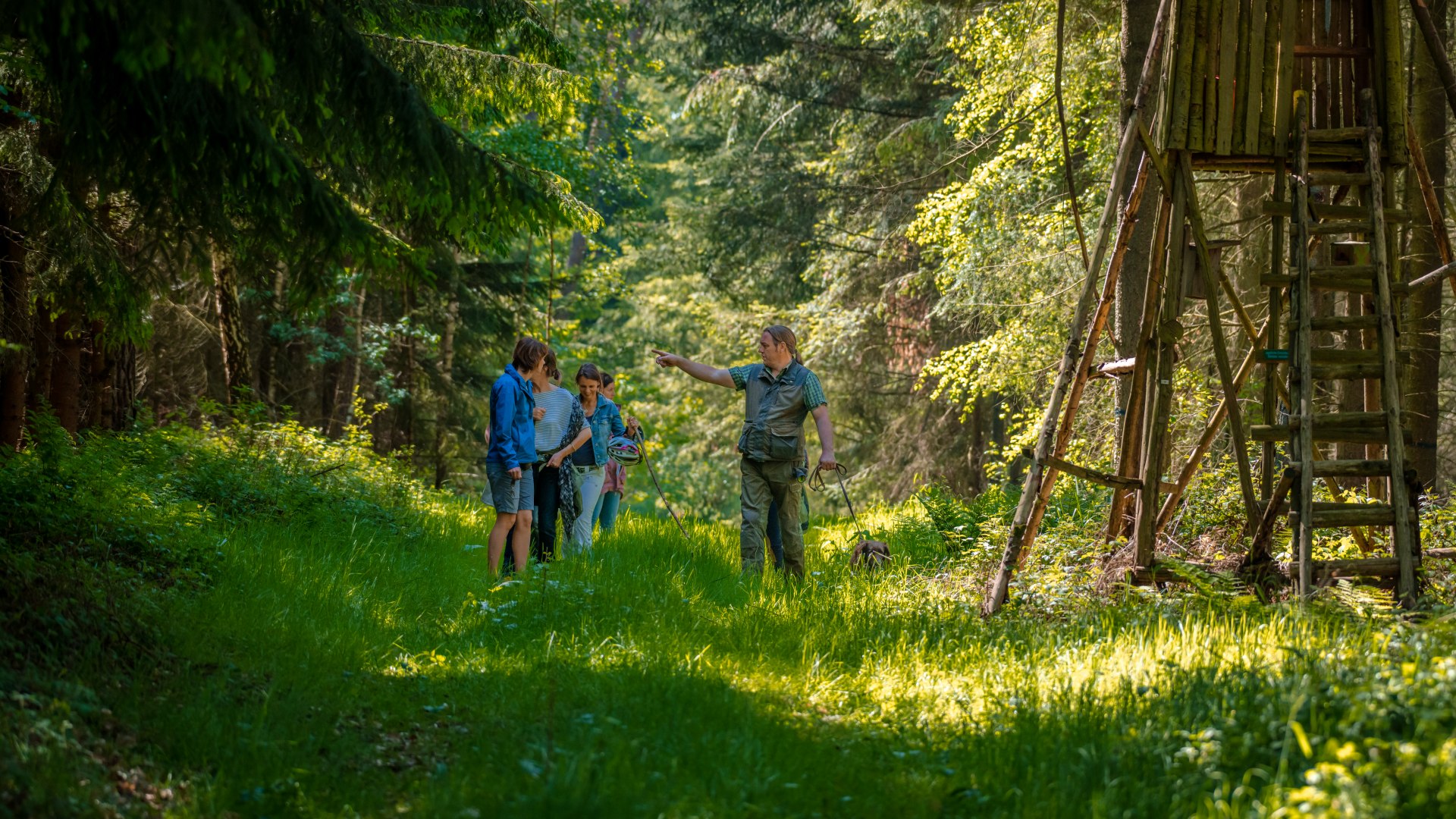 A walk through the forest: On the way with forester Olaf through the farm's own grassland., © TMV/Tiemann Five people are walking along a path through a forest with tall grass.