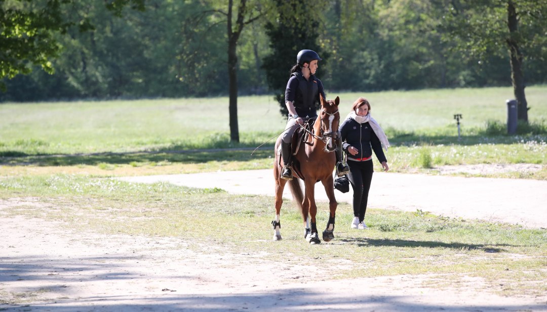 Het is nooit te laat om te leren rijden, © TMV/Pantel