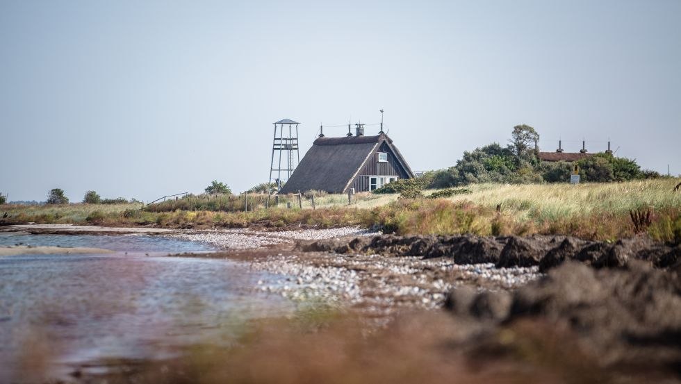 Wyspa rezerwatu ptaków Langenwerder w pobliżu Poel, © Liene Photografie Nadine Sorgenfried