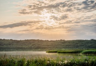 © Binzer Bucht Tourismus