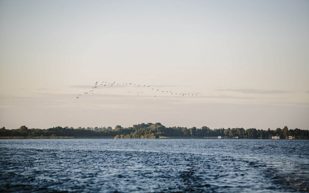 Doświadczenie natury w Schaalsee, © TMV/Roth