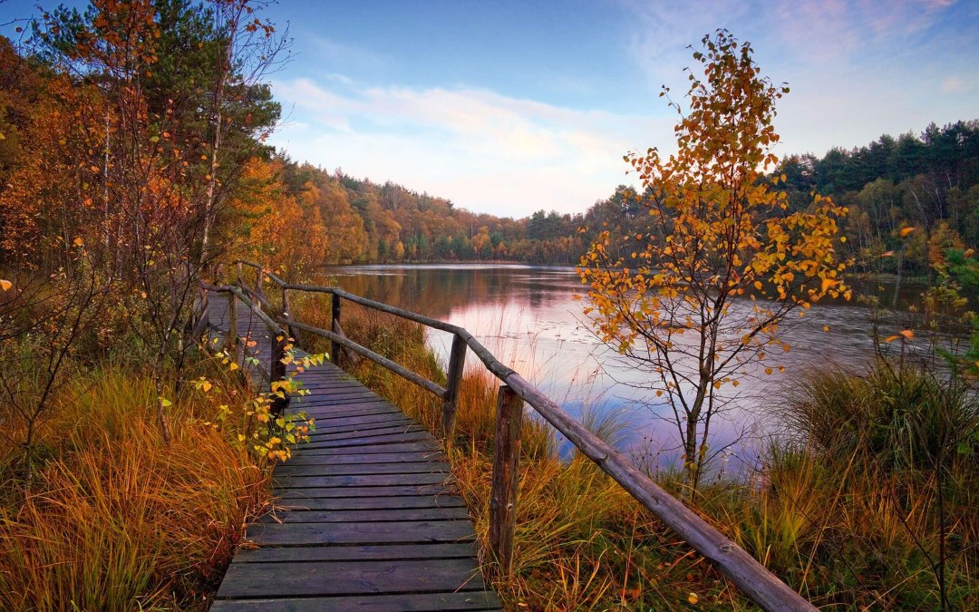 Drewniana promenada w Parku Narodowym Müritz, © TMV/Allrich