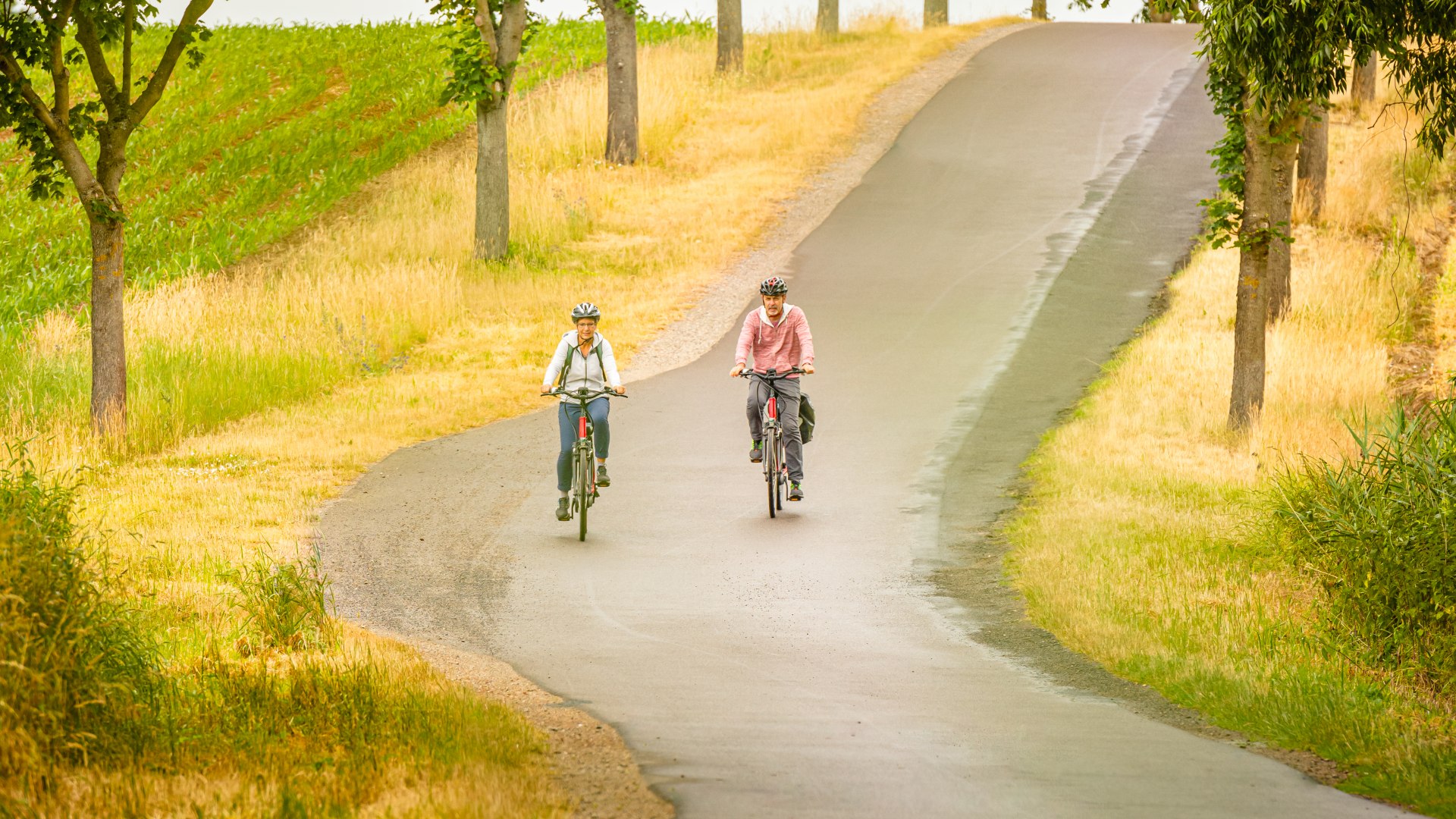 Riding an e-bike on an avenue through the Mecklenburg Lake District