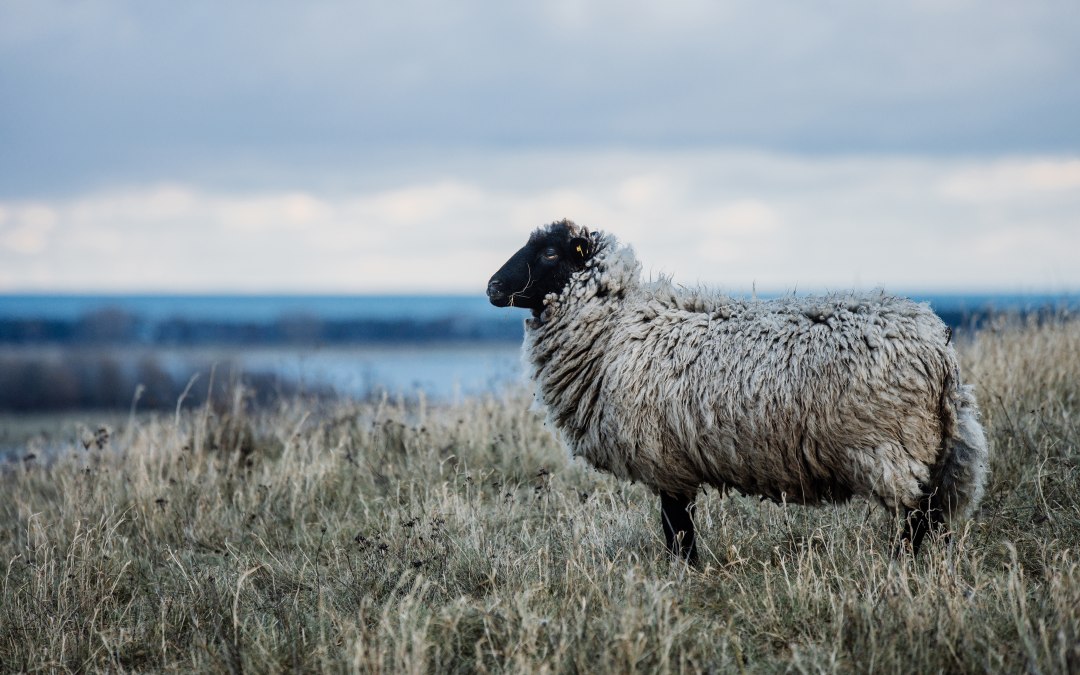 © Foto: Christian Thiele