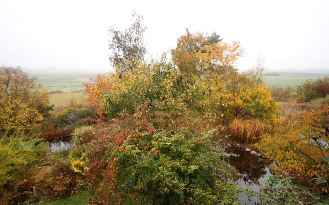 Herfst - spel van kleuren, © Claus Gering