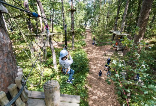 The climbing forest in the Baltic resort of Binz attracts daredevils to dizzying heights., © Kletterwald Darß