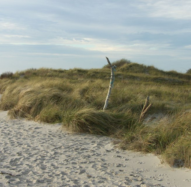 © Biosphärenreservatsamt Südost-Rügen