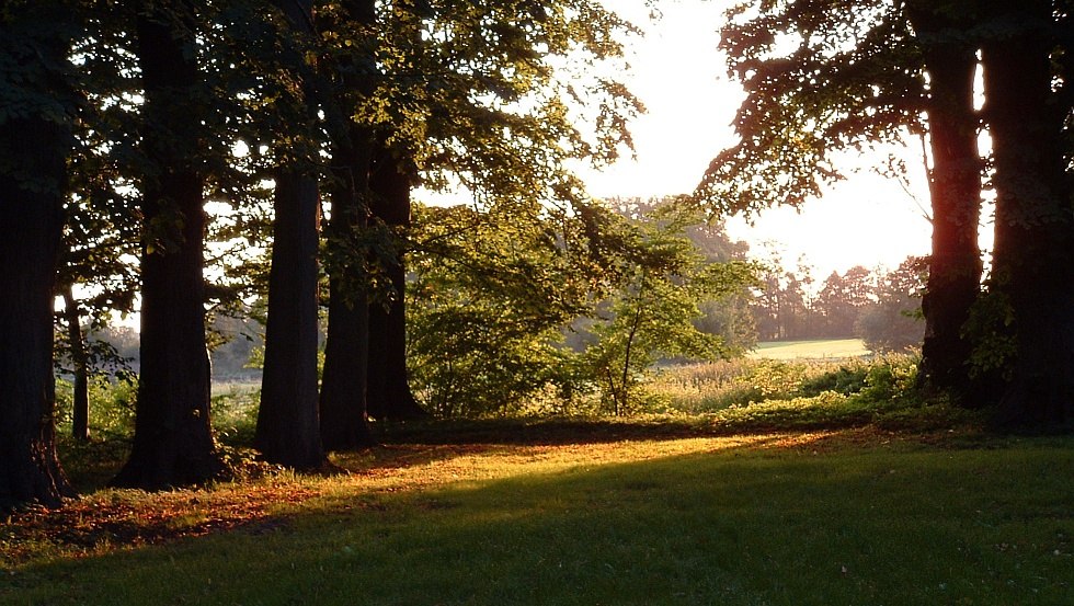 Wschód słońca w parku, © Barockschloß zu Griebenow e.V.