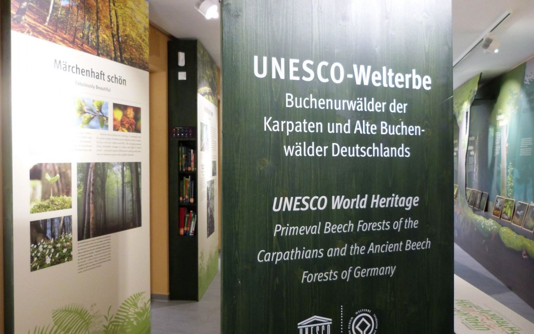 Wystawa Forum Światowego Dziedzictwa UNESCO, na której odwiedzający mogą dowiedzieć się między innymi o dawnych lasach bukowych., © Gesine Häfner / Nationalpark-Zentrum KÖNIGSSTUHL