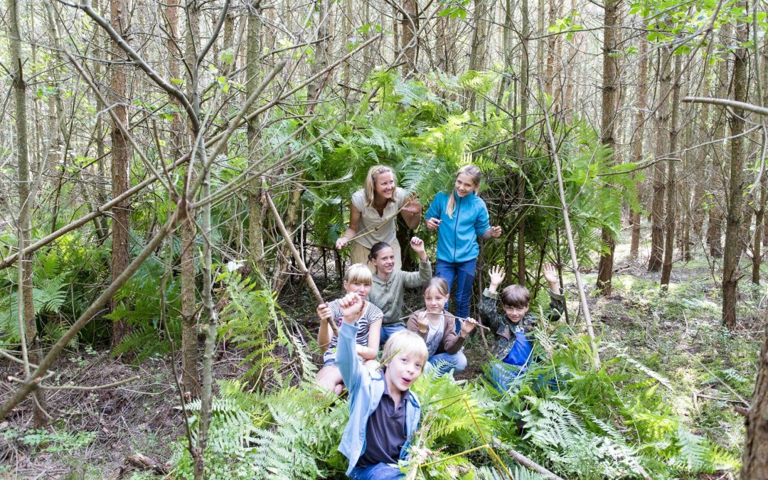 Overleven in de wildernis (c) Kurverwaltung Goehren Martin Stoever _2014_62P7579, © Kurverwaltung Goehren / Martin Stoever