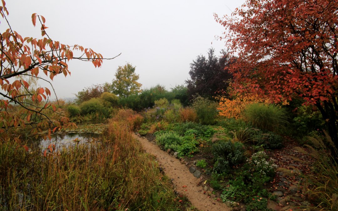 Herfst op de Sündenborn, © Claus Gering