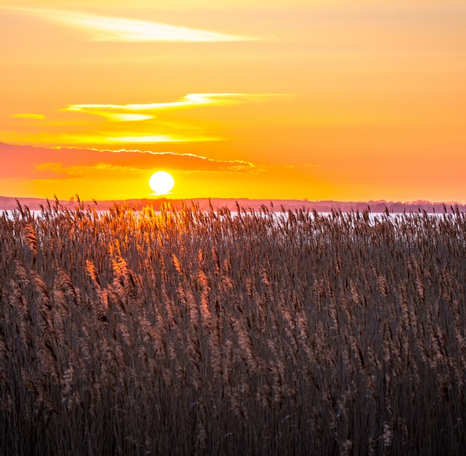 © insel-fotograf.eu, Andreas Dumke