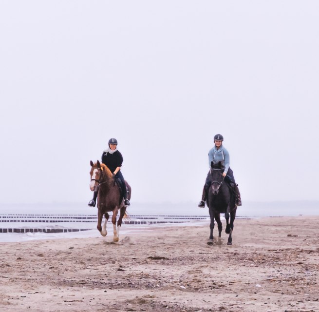 Strandrijden in Mecklenburg-Vorpommern op Fischland-Darß-Zingst met drie paarden door het zand