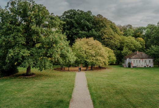 Idylliczny spacer po parku Romantik Hotel Gutshaus Ludorf: otoczona starymi drzewami i zielonymi łąkami przyroda zachęca do relaksu i odprężenia.
