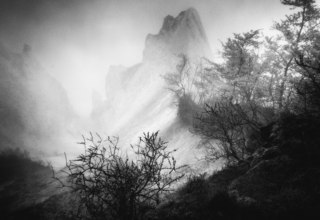 © Volkmar Herre