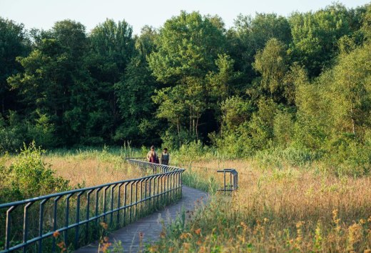 On more than 800 km through seven nature parks and one national park, the nature park trail leads through Mecklenburg-Vorpommern., © TMV/Gänsicke
