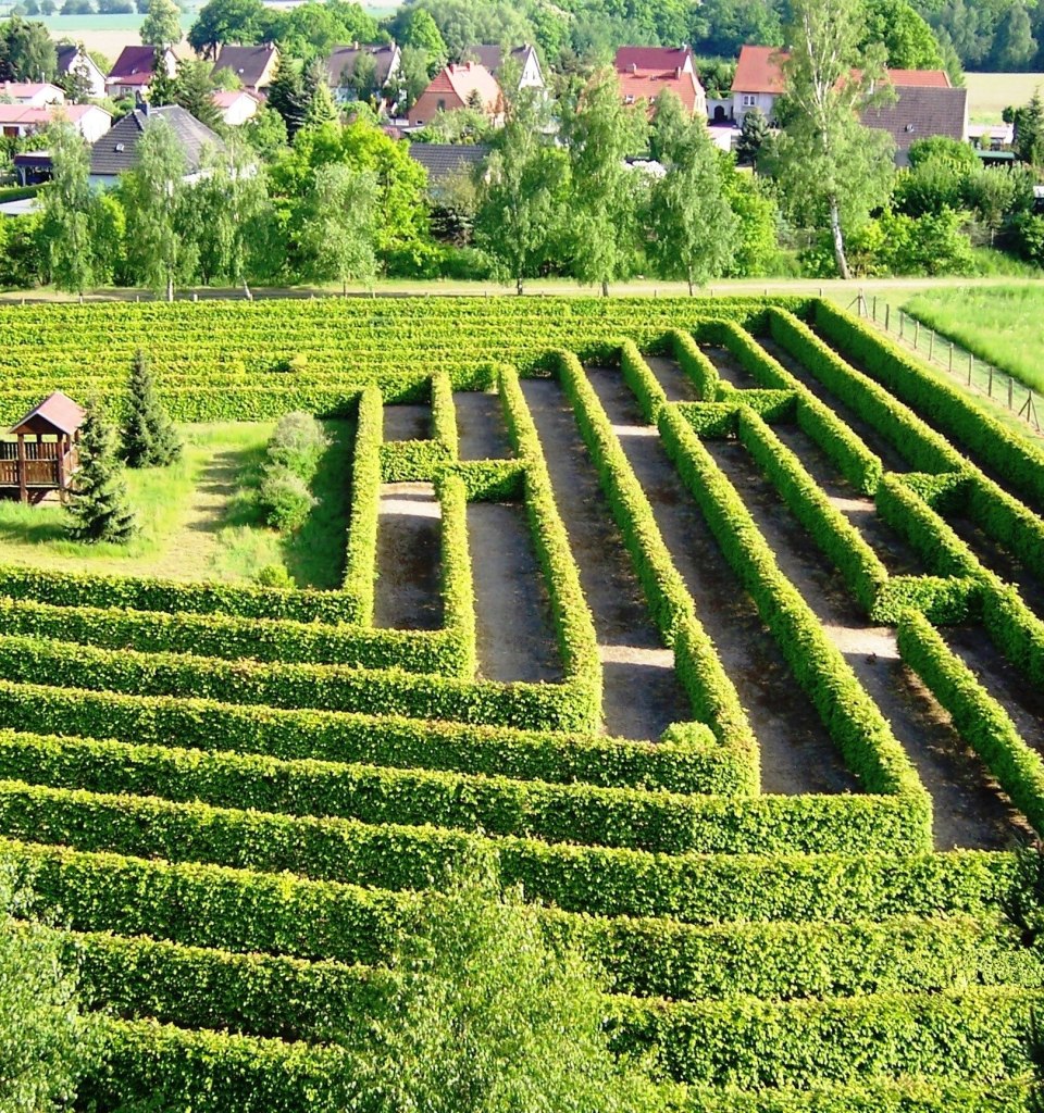 Maze at the Waldeck in Dargun, © Stadt Dargun