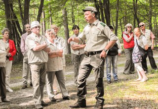 © Infozentrum Wald und Moor