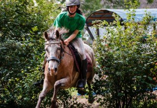 High on horseback and across the terrain - no problem at the Strameuß Riding and Driving Club, © Reit- und Fahrverein Strameuß