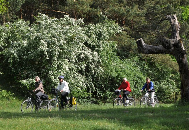 © Waren (Müritz) Kur- und Tourismus GmbH